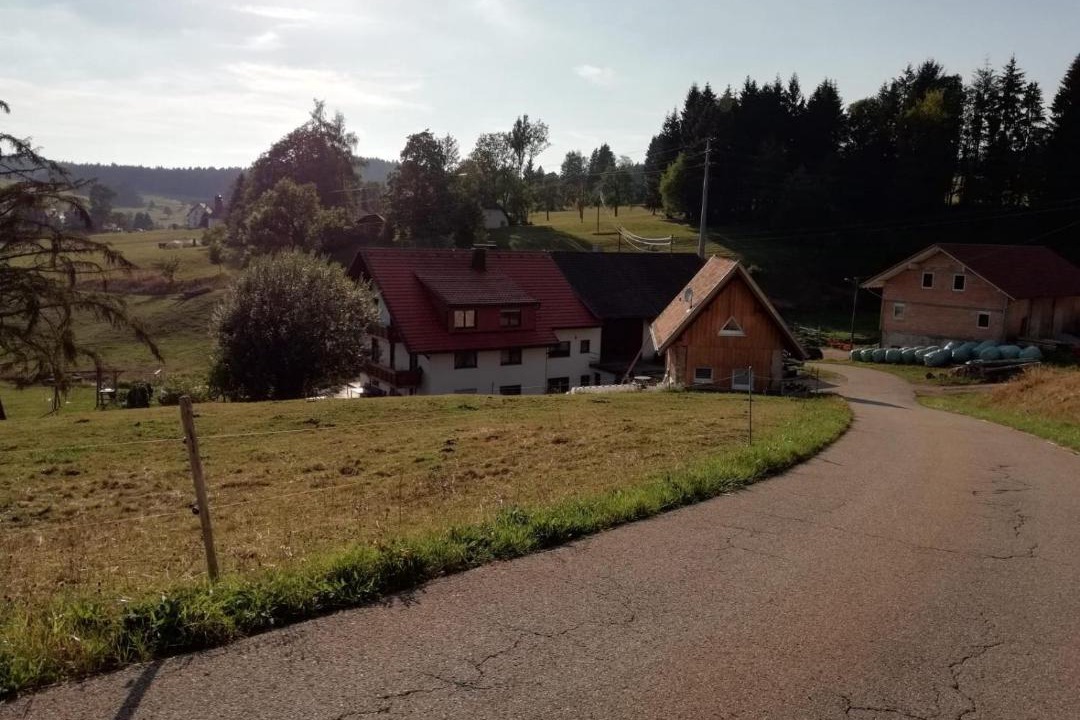 Photo of Buildings in Herrischried