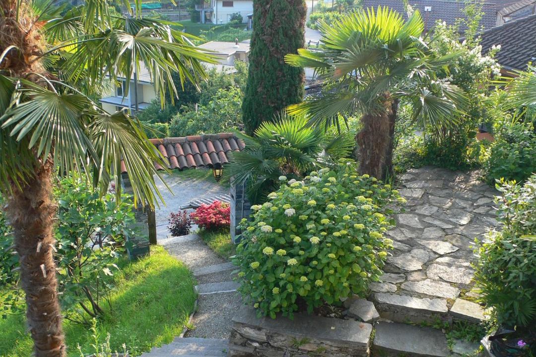 Photo of Others in Magadino