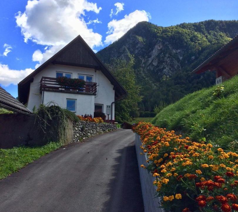 Photo of Others in Mojstrana