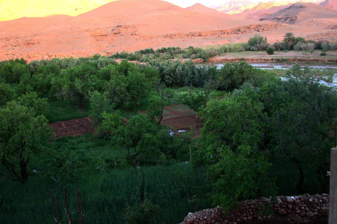 Photo of Others in Tamedakhte