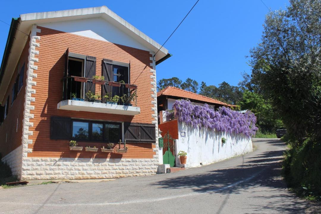Photo of Others in Albergaria-a-Velha