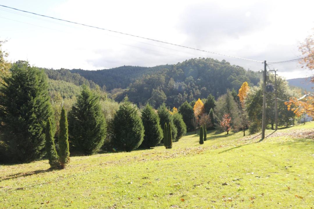 Photo of Others in Derio