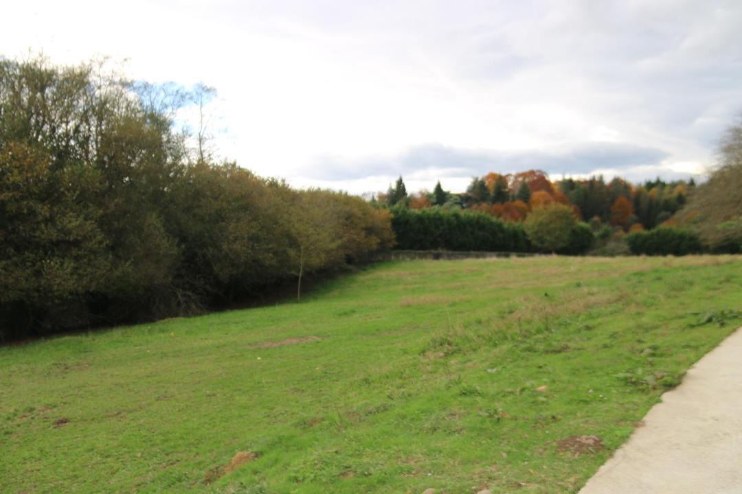 Photo of Others in Derio