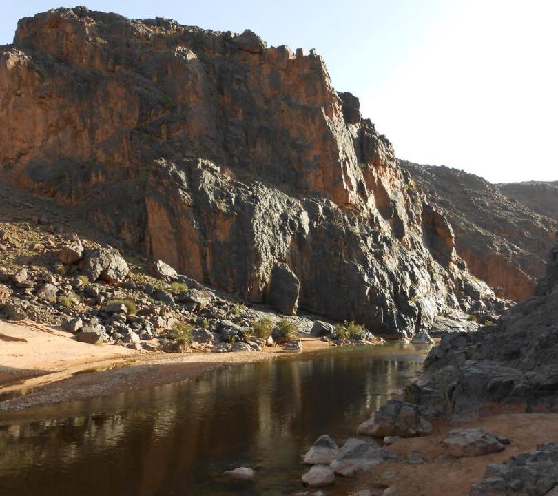 Photo of Others in Skoura