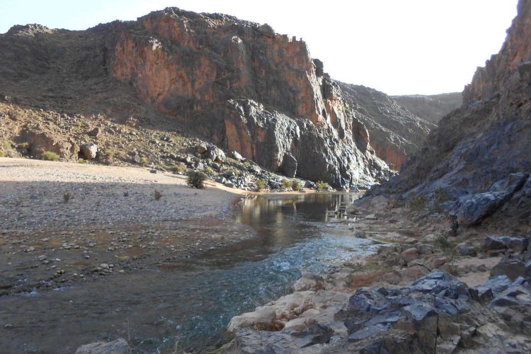Photo of Others in Skoura