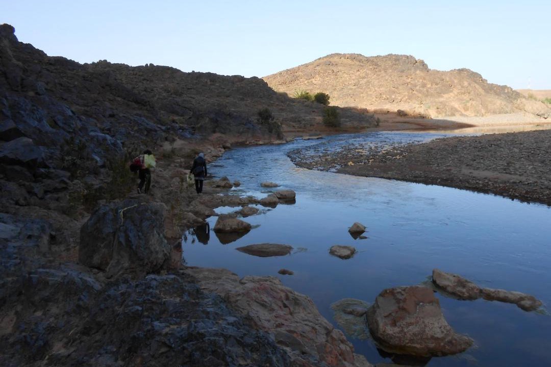 Photo of Others in Skoura