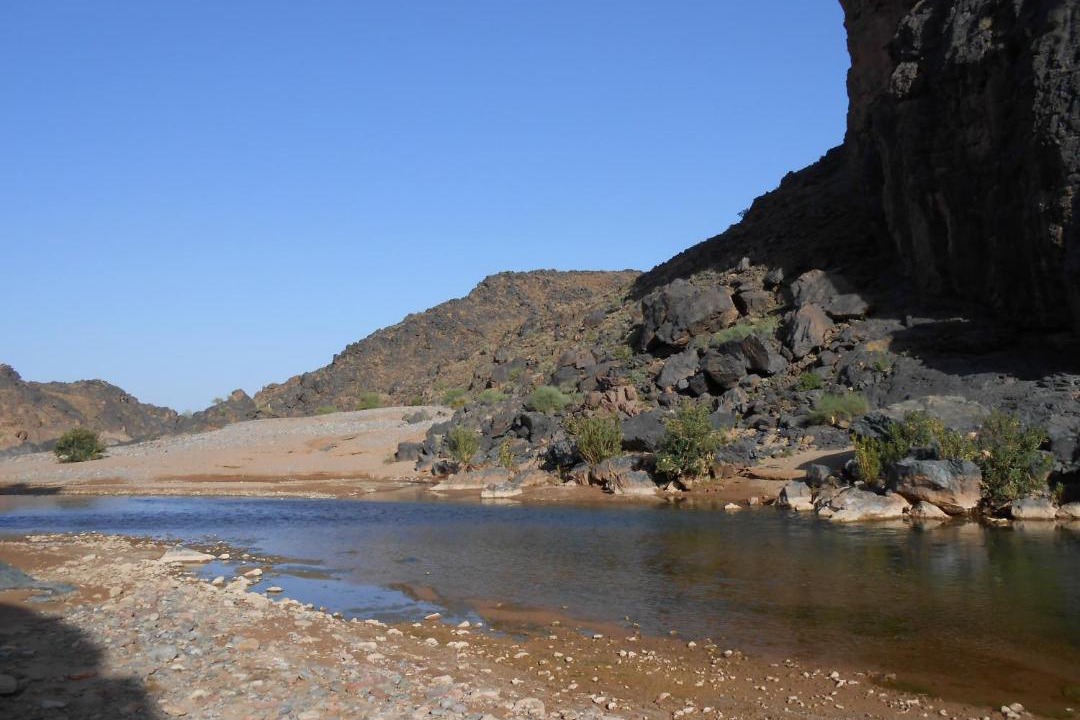 Photo of Others in Skoura