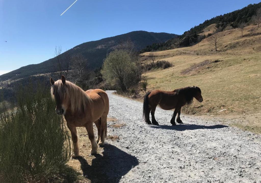 Photo of Others in Queralbs