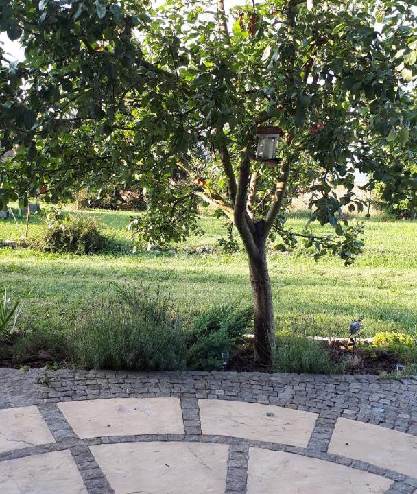 Photo of Others in Grodziszcze