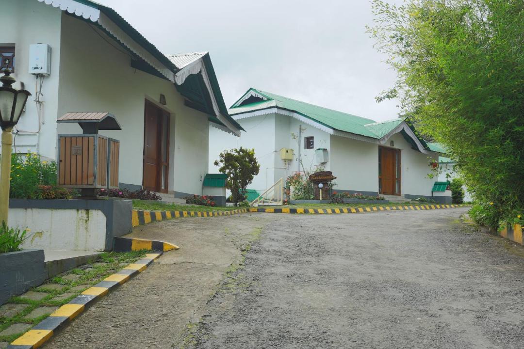 Photo of Others in Devikolam