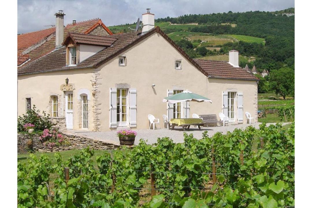 Photo of Buildings in Santenay