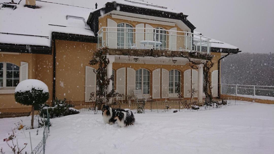 Photo of Buildings in Genolier