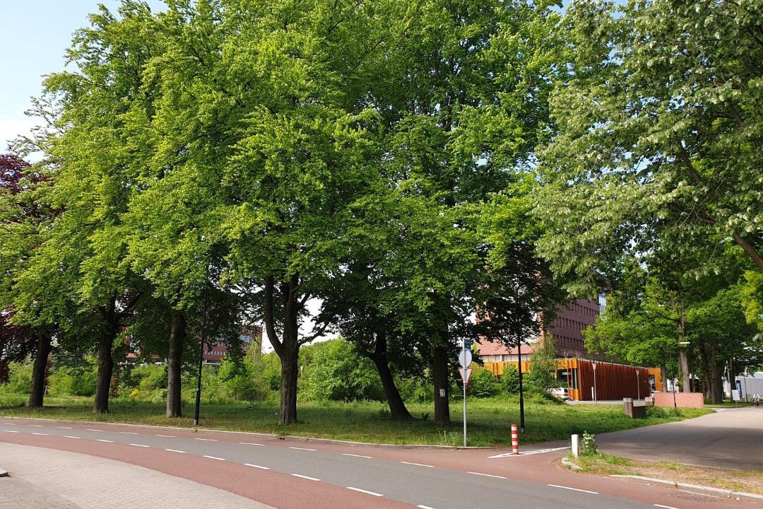 Photo of Outdoor in Municipality of Apeldoorn
