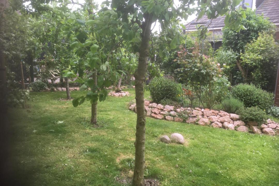 Photo of Outdoor in Rauwerd