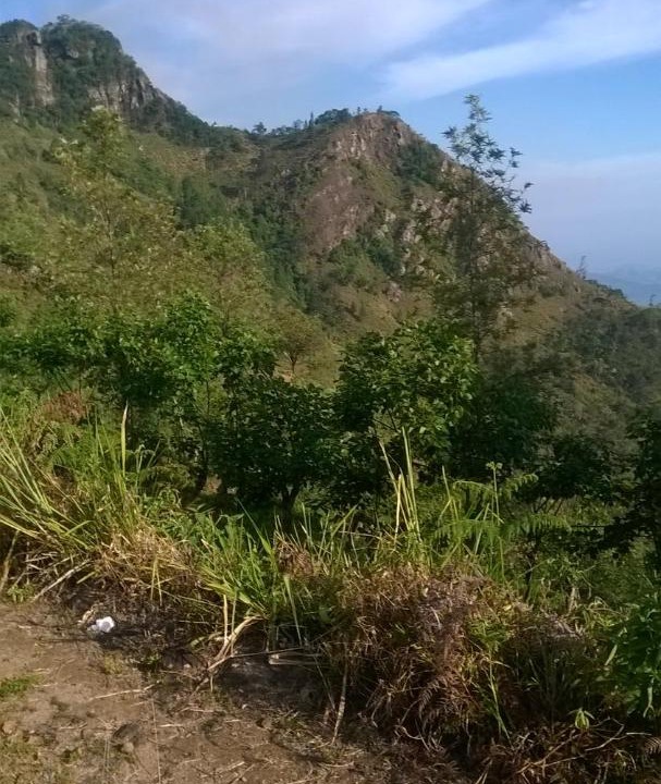 Photo of Outdoor in Welimada