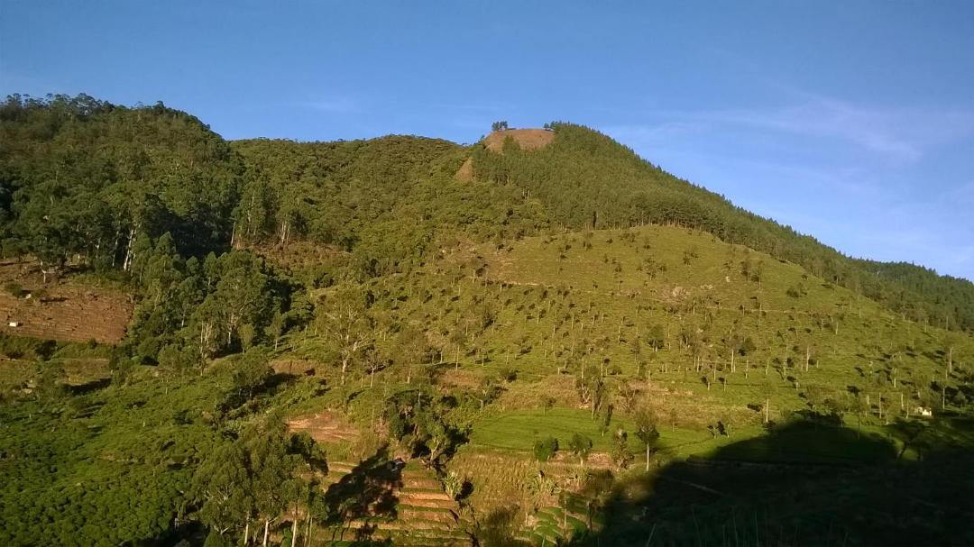 Photo of Outdoor in Welimada