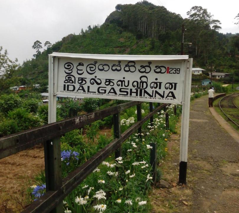 Photo of Buildings in Welimada