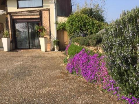 Photo of Others in Saint-Firmin-sur-Loire