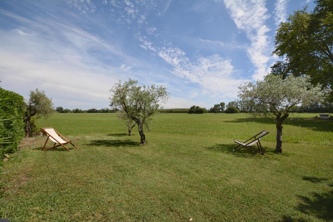 Photo of Others in Saint-Martin-de-Crau
