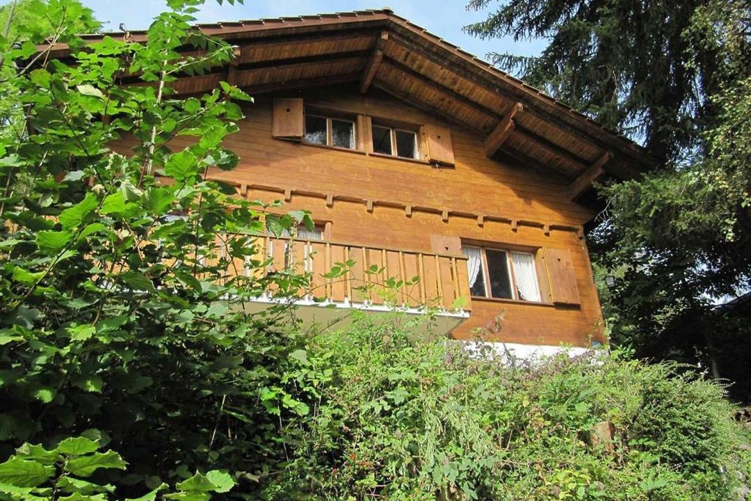 Photo of Others in Zweisimmen