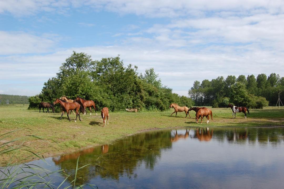 Photo of Others in Lelystad