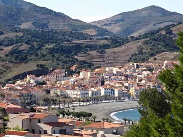 Photo of Others in Banyuls-sur-Mer