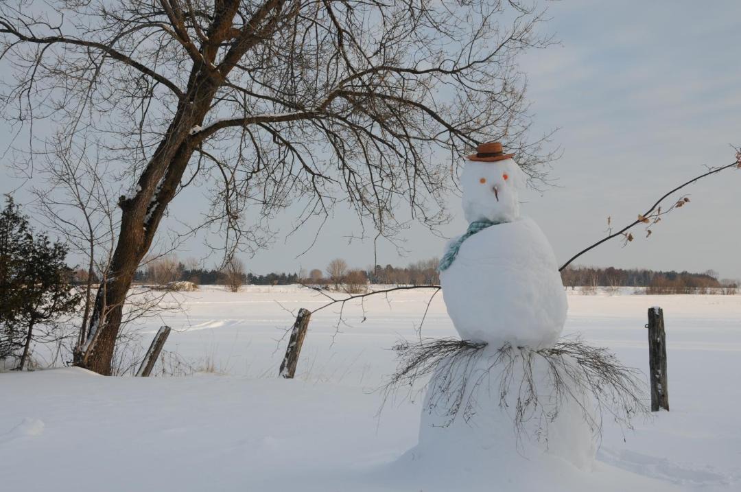 Photo of Others in Baie-St-Paul