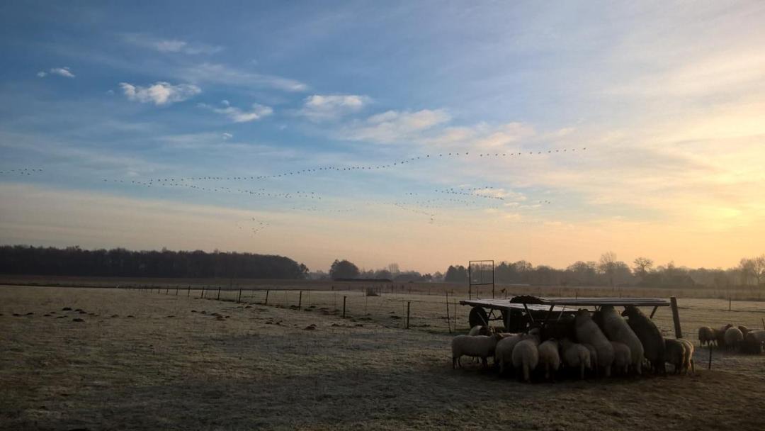 Photo of Outdoor in Onstwedde