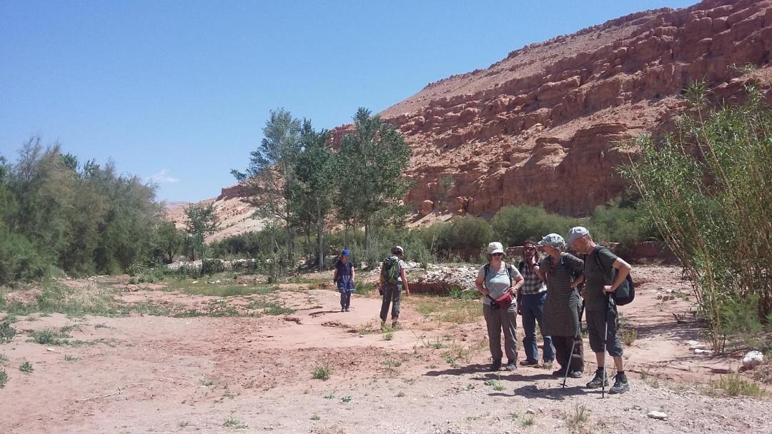 Photo of Others in Tamedakhte
