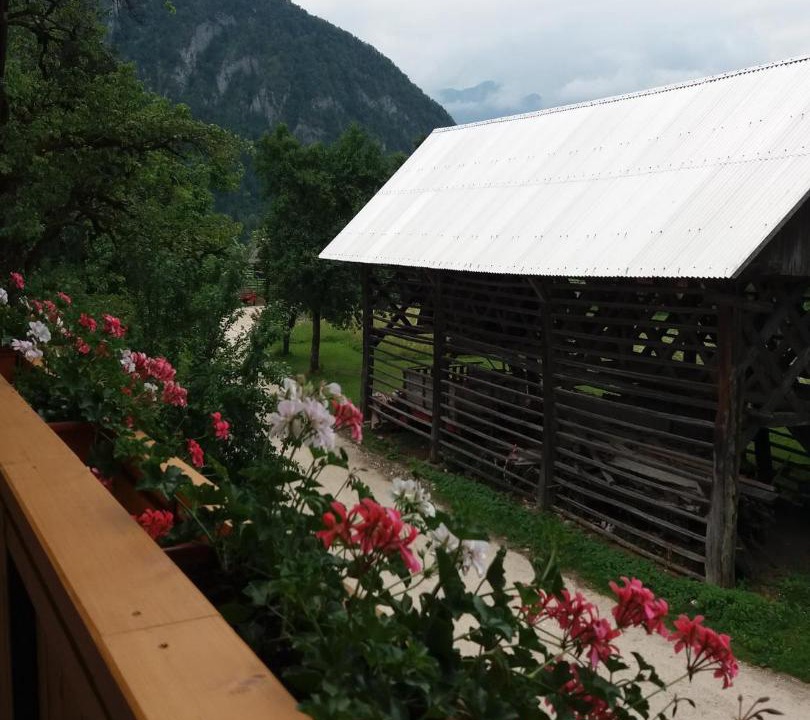 Photo of Others in Srednja Vas v Bohinju