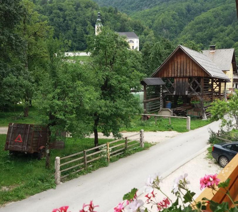 Photo of Others in Srednja Vas v Bohinju
