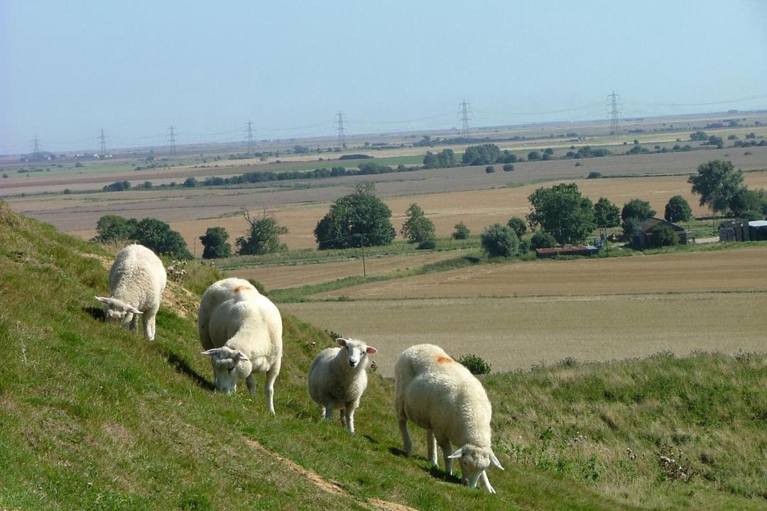 Photo of Others in Stone in Oxney