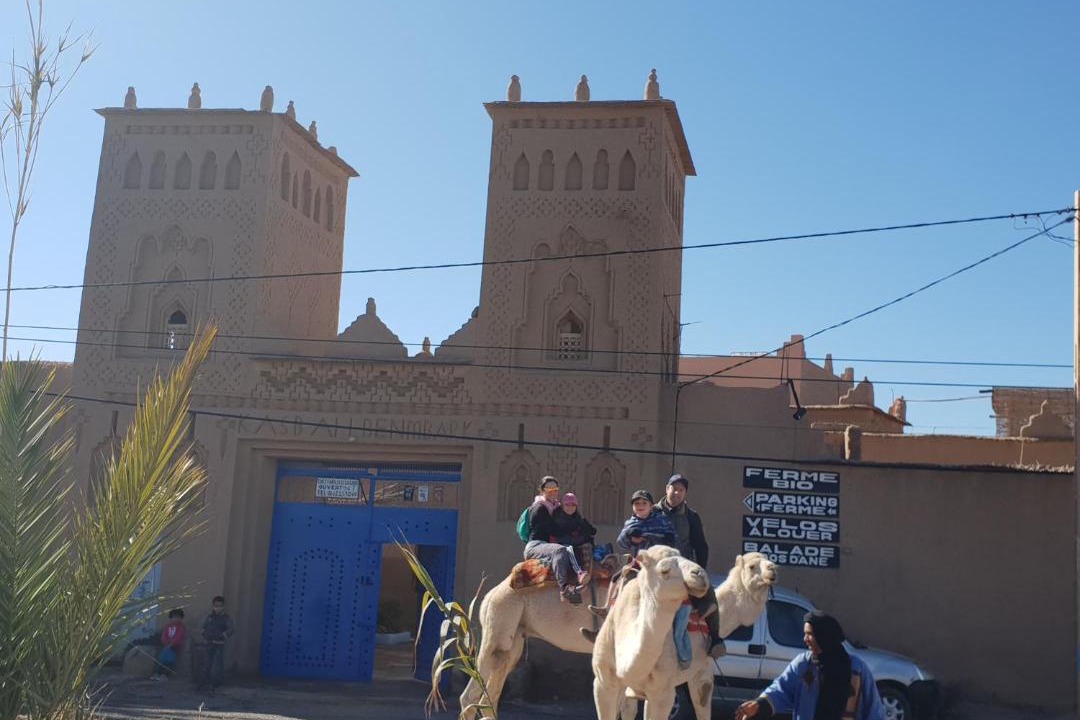Photo of Buildings in Skoura