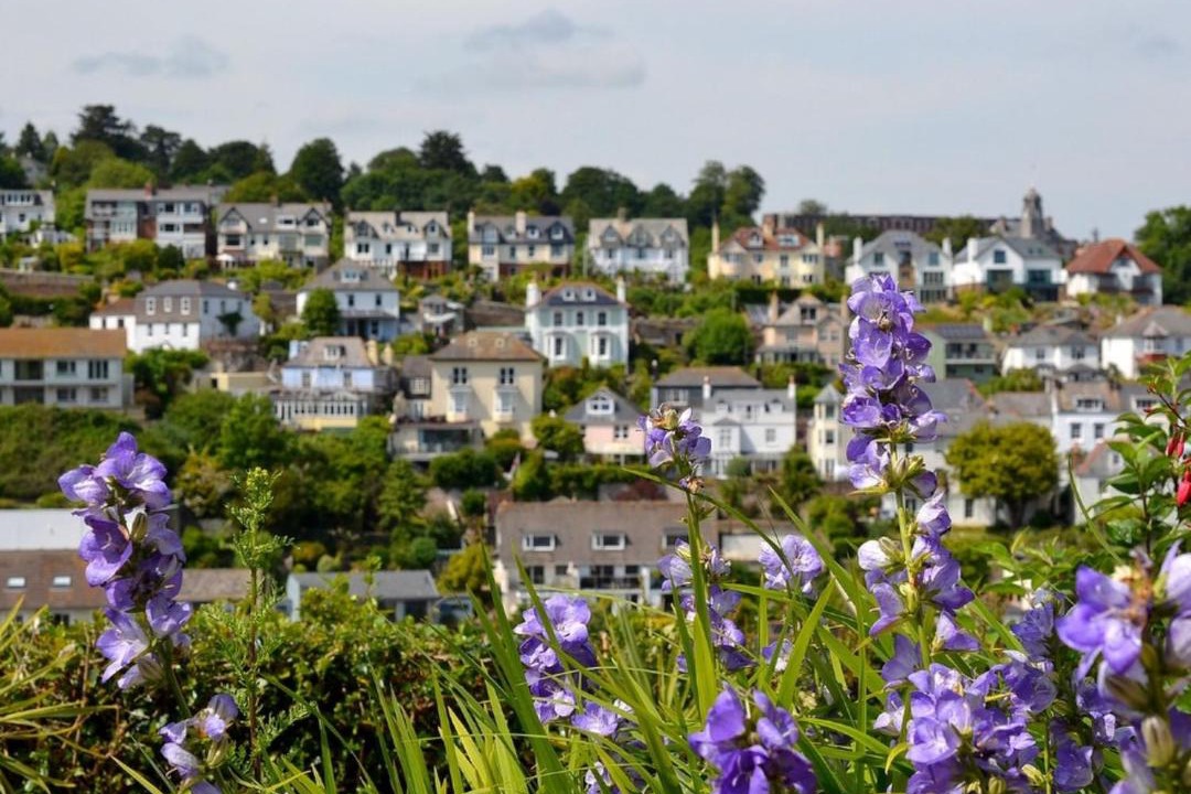 Photo of Outdoor in Dartmouth