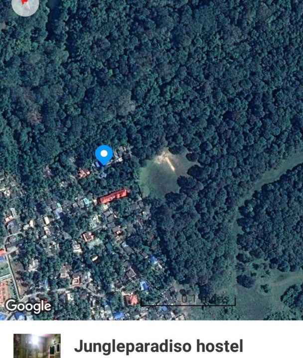 Photo of Others in Thekkady