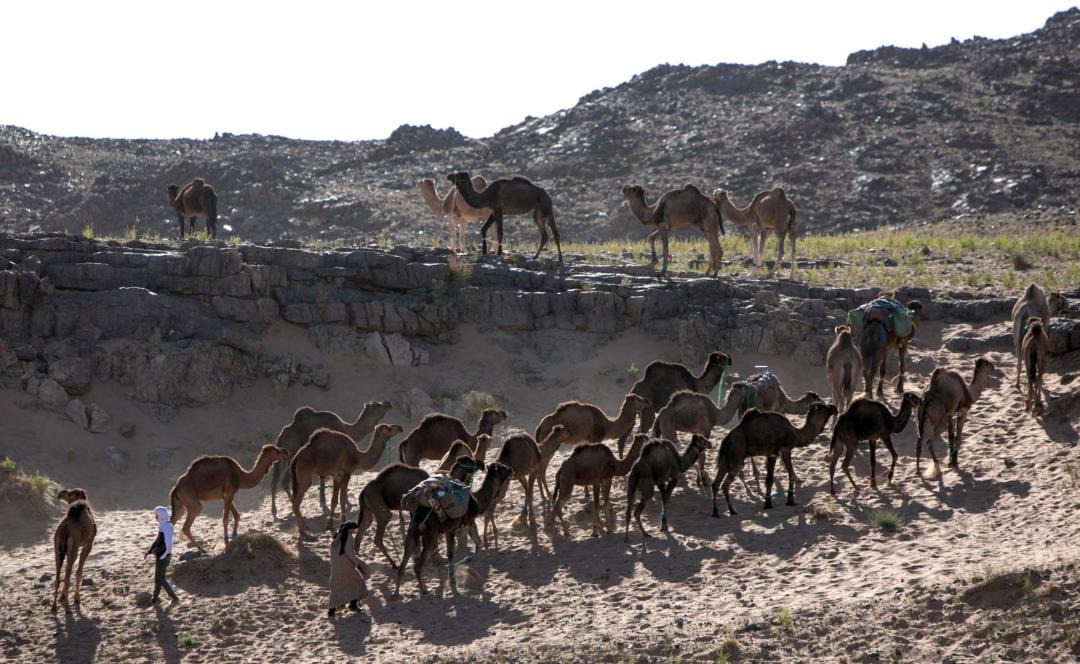 Photo of Others in Amezrou