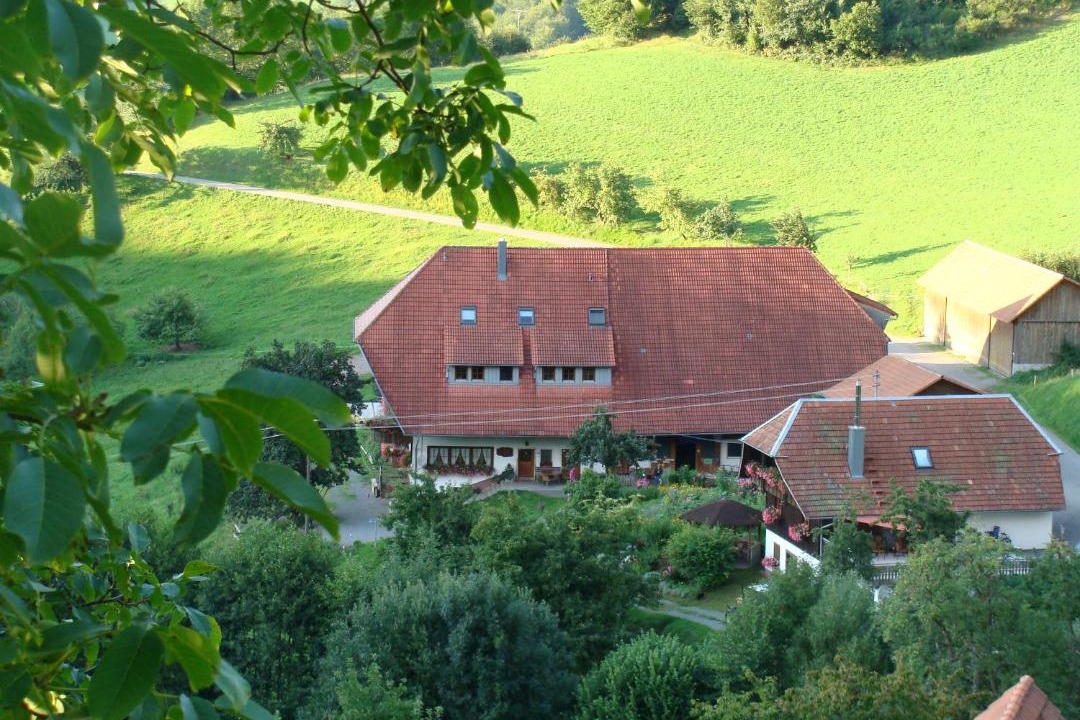 Photo of Others in Muehlenbach