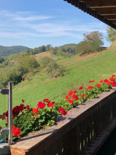 Photo of Others in Muehlenbach