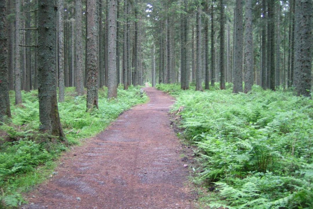 Photo of Others in Kappel