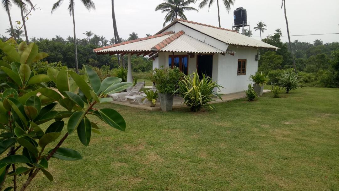 Photo of Buildings in Tangalle