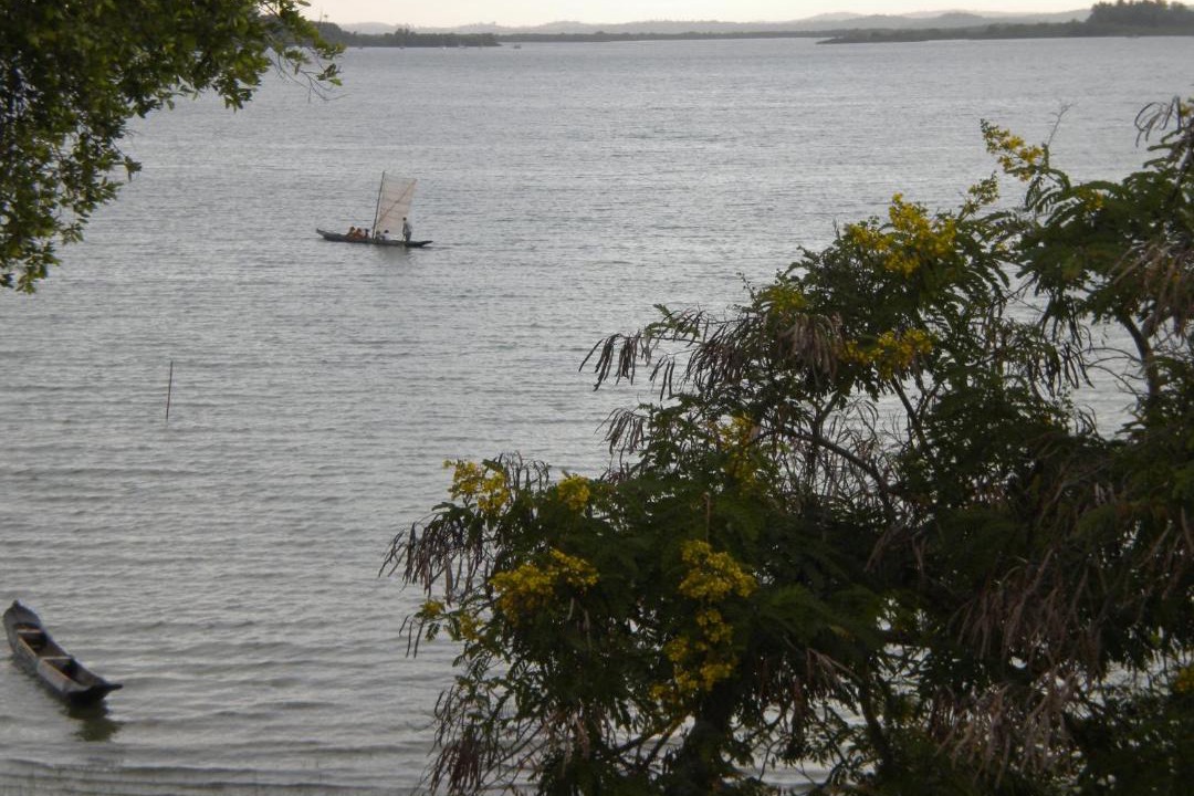 Photo of Others in Jaguaripe
