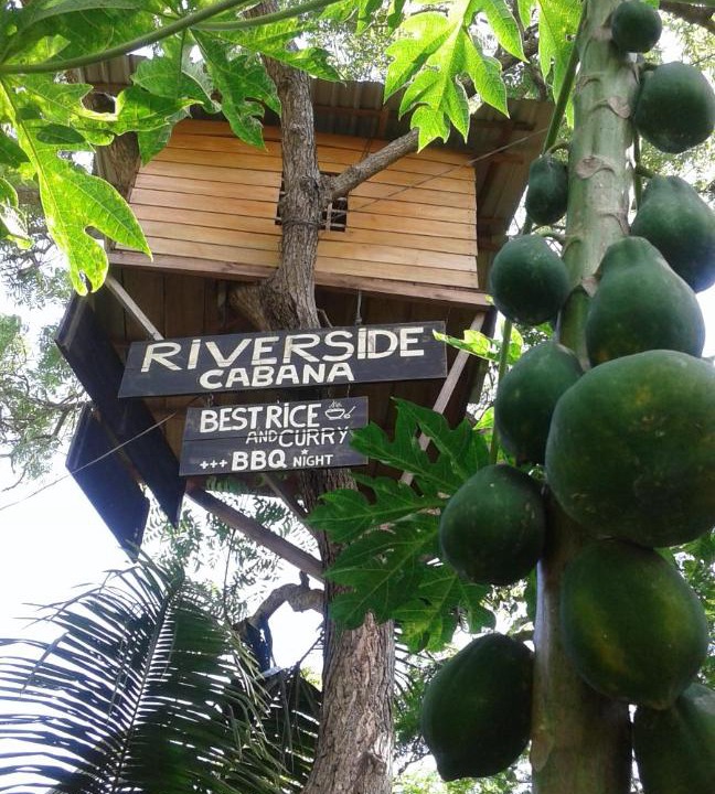 Photo of Others in Debarawewa