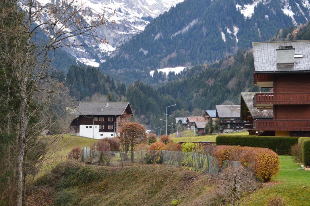 Photo of Others in Champery