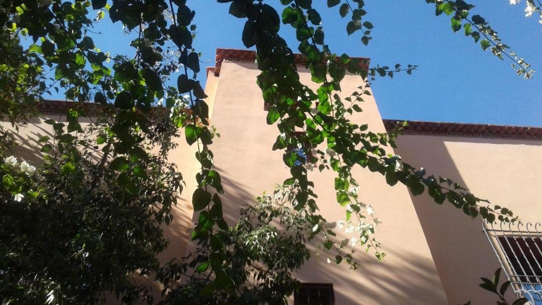 Photo of Others in Daoudiate