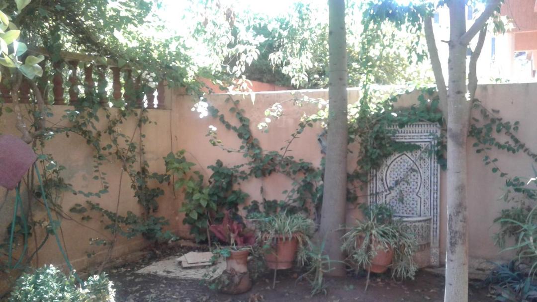 Photo of Others in Daoudiate