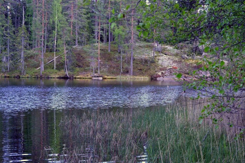 Photo of Others in Orivesi