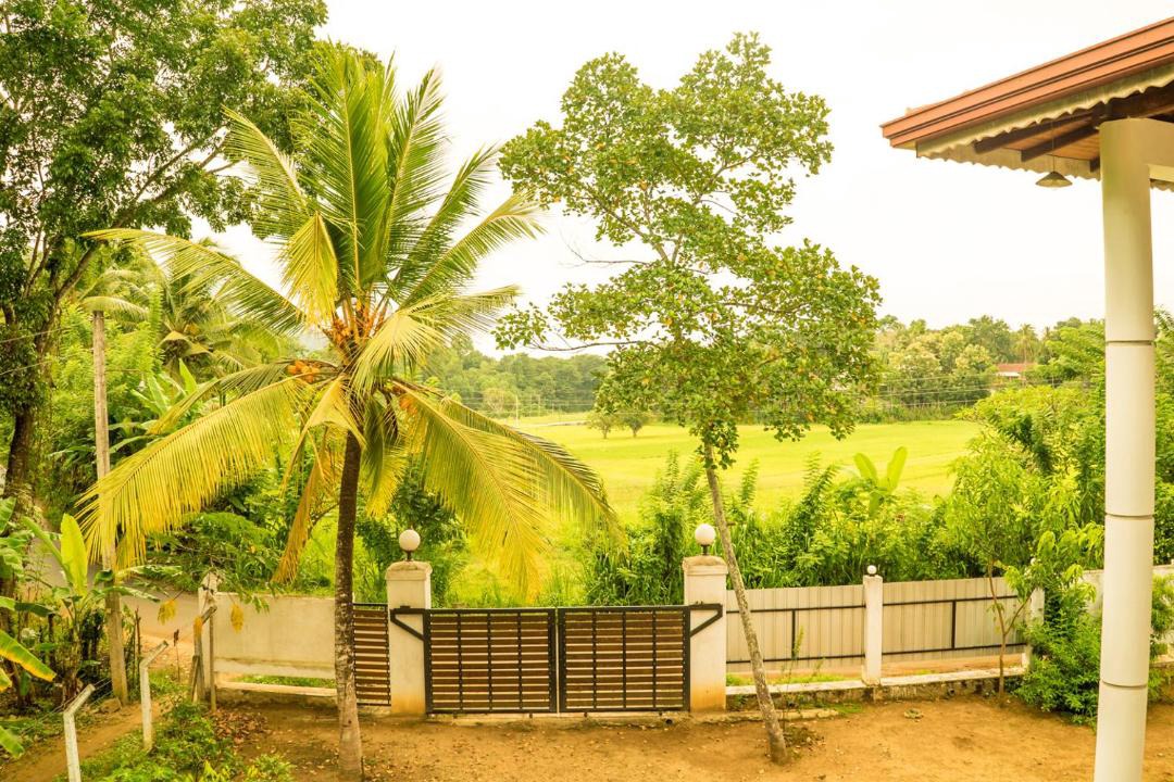 Photo of Others in Pinnawala