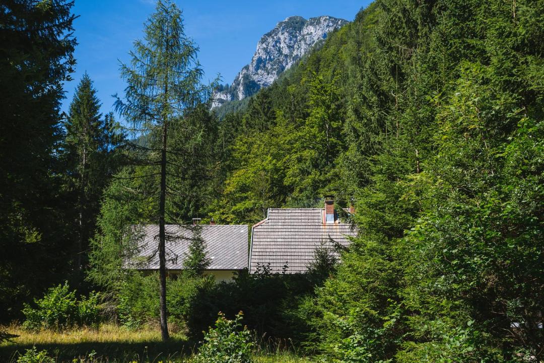 Photo of Others in Mojstrana