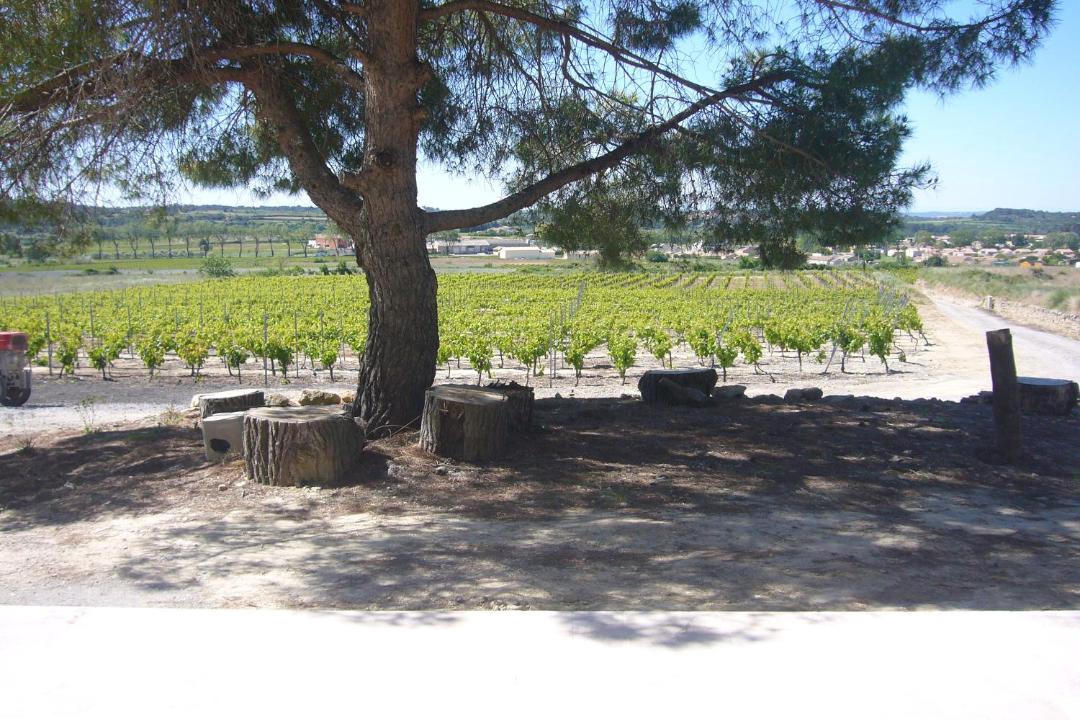 Photo of Others in Saint-Pargoire
