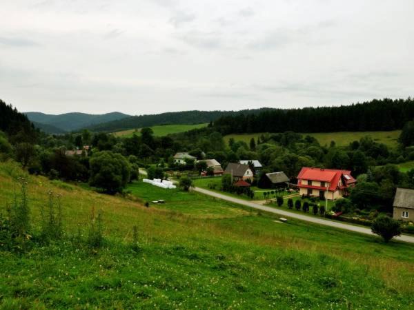 Photo of Others in Rabe